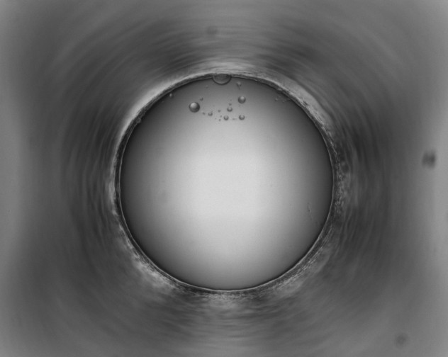 X0000100340904200806121147