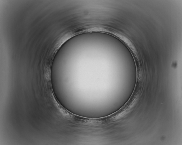 X0000100340905200806121147