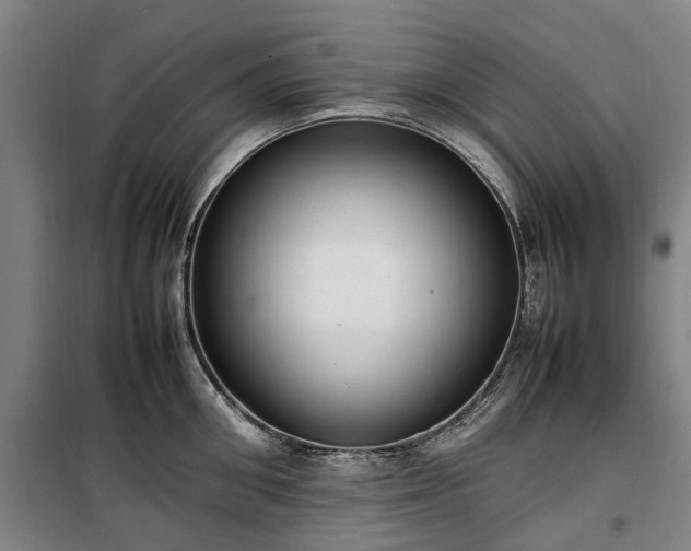 X0000100340906200806121147