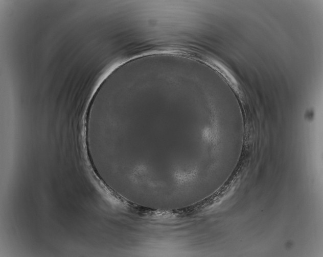 X0000100340907200806121147