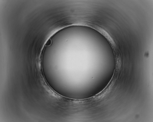 X0000100340908200806121147