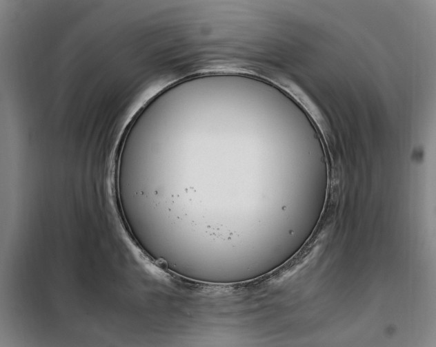 X0000100340909200806121147