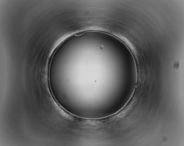 X0000100340910200806121147