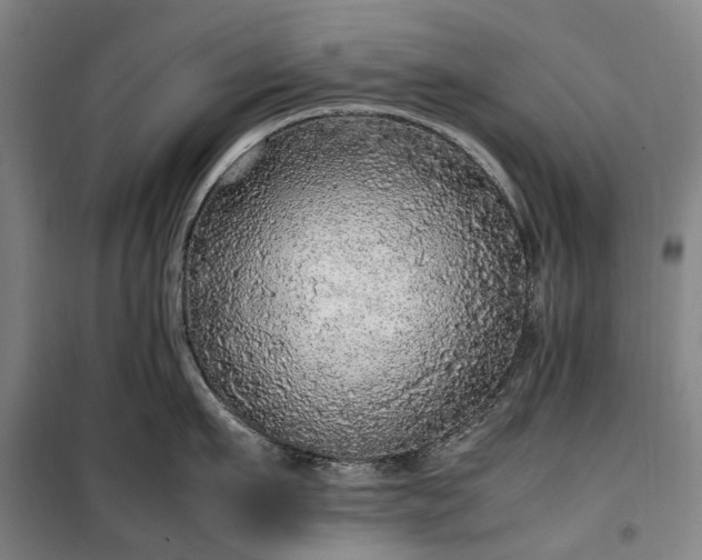 X0000100340911200806121147