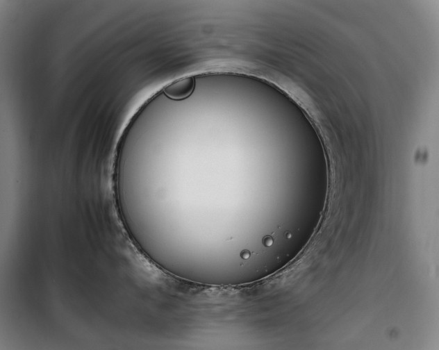 X0000100340912200806121147