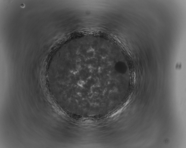 X0000100340913200806121147