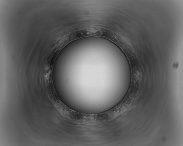 X0000100340914200806121147