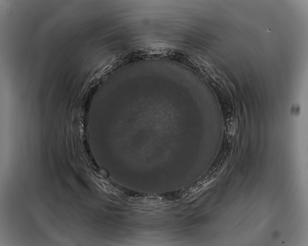 X0000100340916200806121147