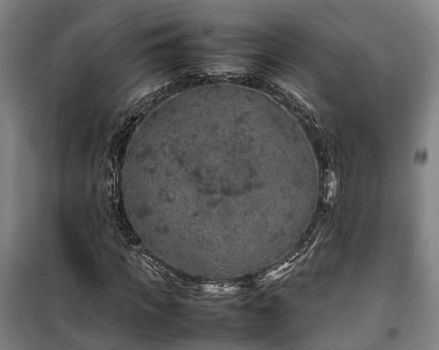 X0000100340917200806121147