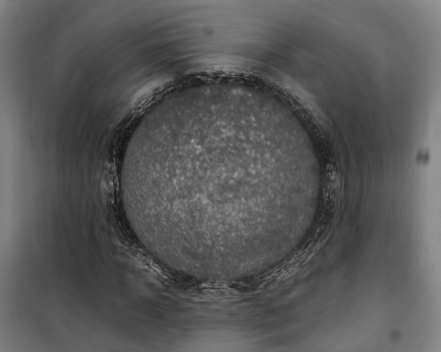 X0000100340918200806121147