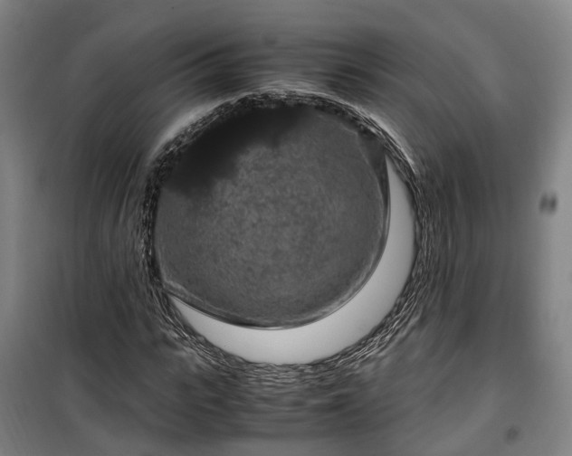 X0000100340919200806121147