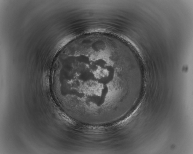 X0000100340921200806121147