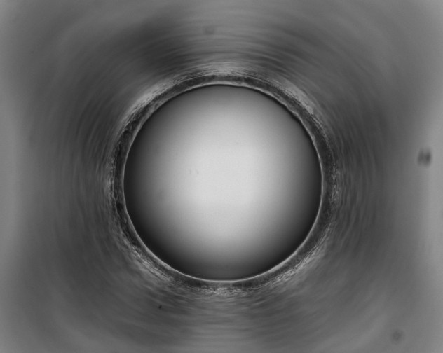 X0000100340922200806121147