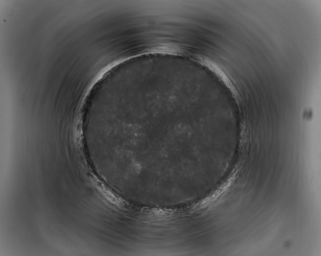 X0000100340923200806121147