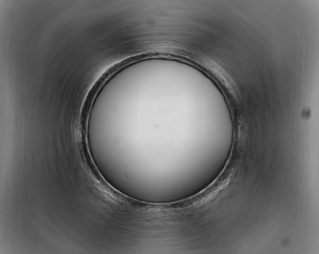 X0000100340924200806121147