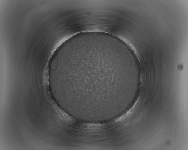 X0000100340925200806121147