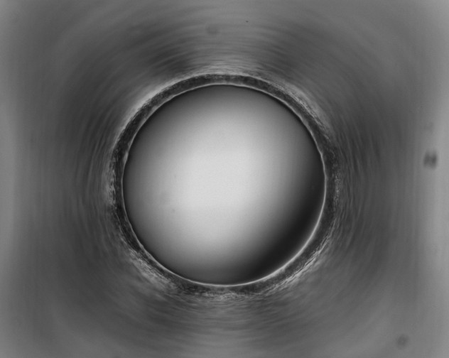 X0000100340926200806121147