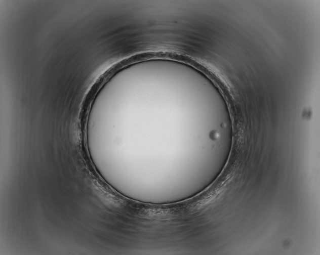 X0000100340927200806121147