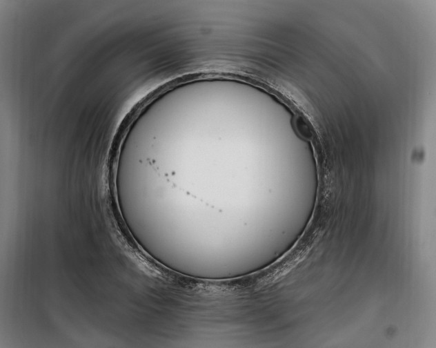 X0000100340928200806121147