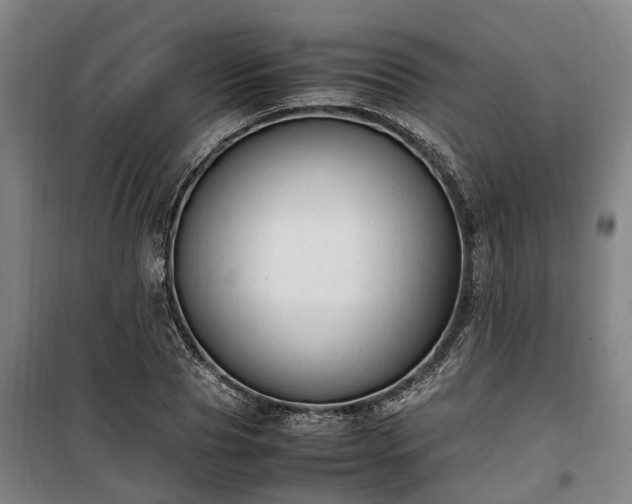 X0000100340929200806121147