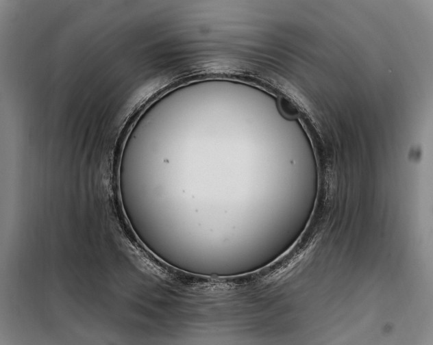 X0000100340930200806121147