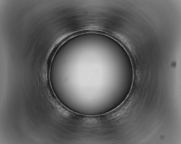 X0000100340931200806121147