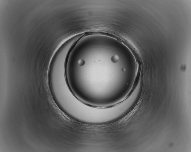 X0000100340932200806121147