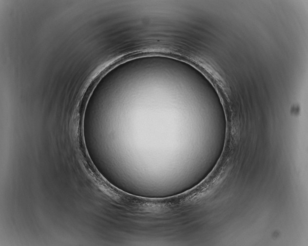 X0000100340933200806121147