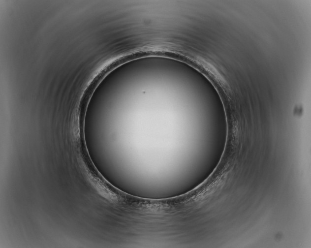 X0000100340934200806121147