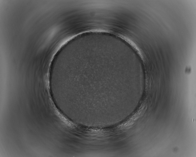 X0000100340935200806121147