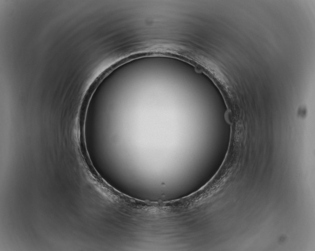 X0000100340936200806121147