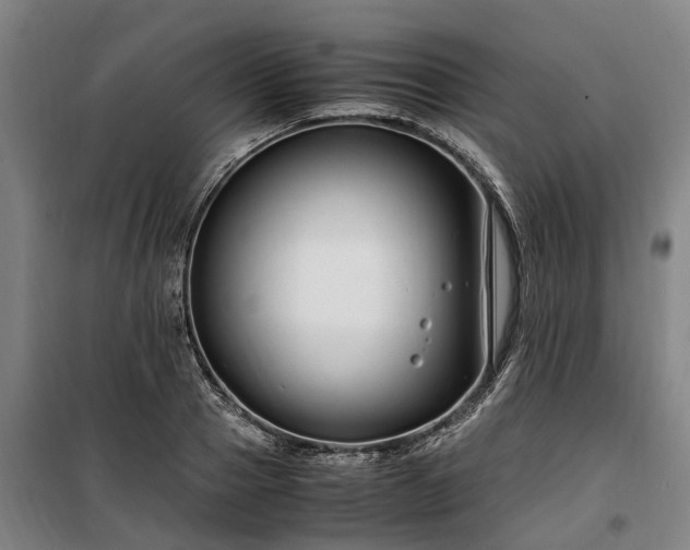 X0000100340937200806121147