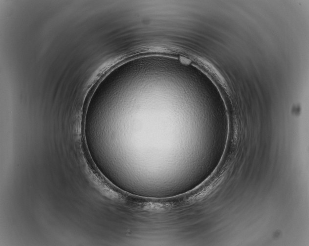 X0000100340938200806121147