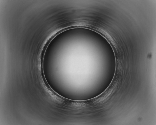 X0000100340939200806121147