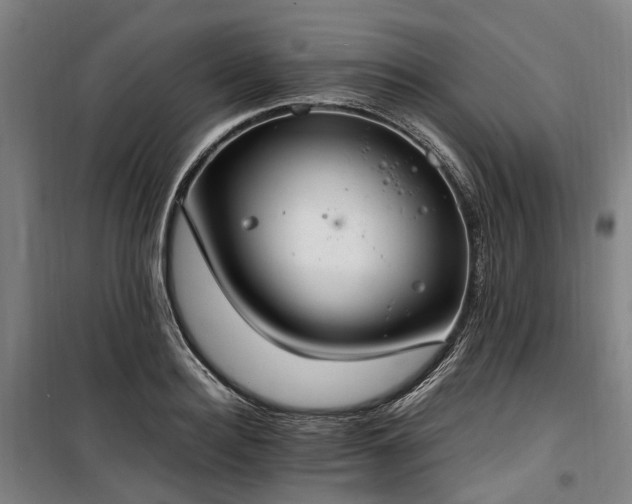 X0000100340940200806121147