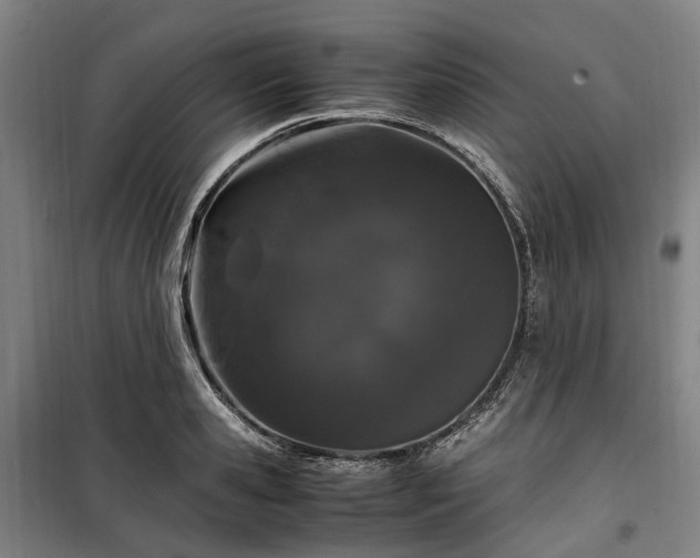 X0000100340941200806121147