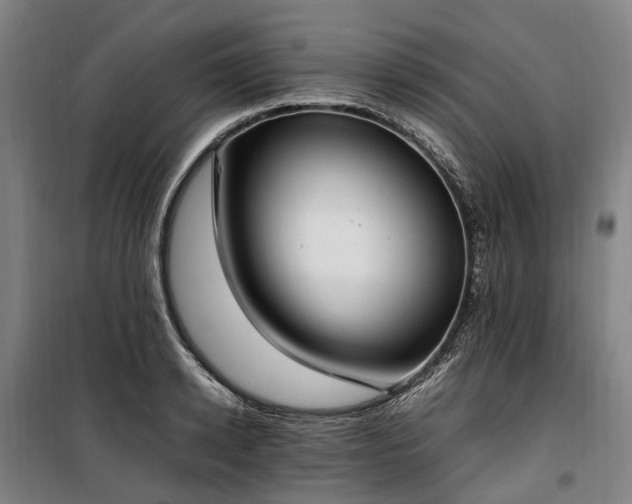 X0000100340942200806121147