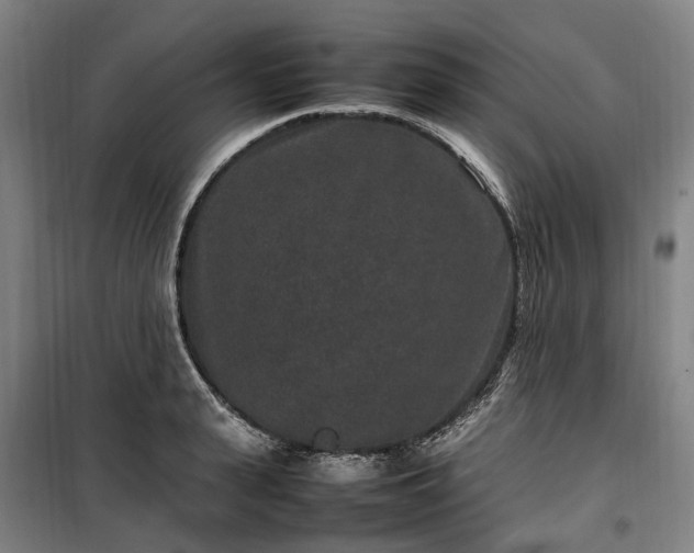 X0000100340943200806121147