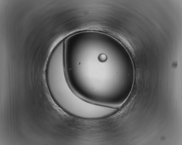 X0000100340944200806121147