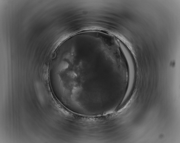 X0000100340945200806121147