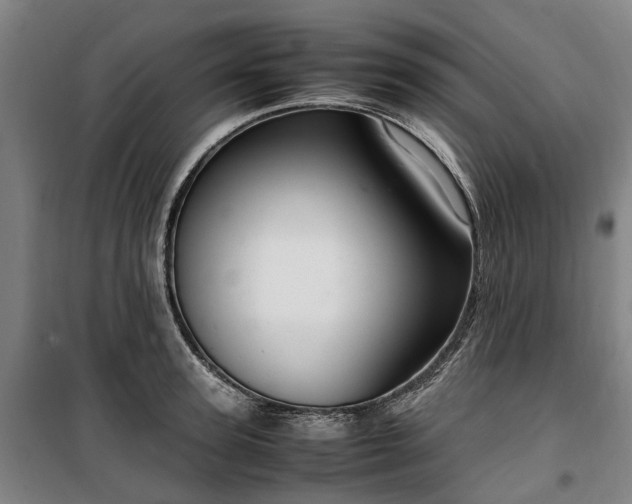 X0000100340947200806121147