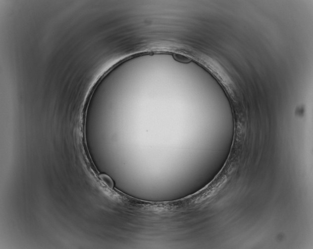 X0000100340948200806121147