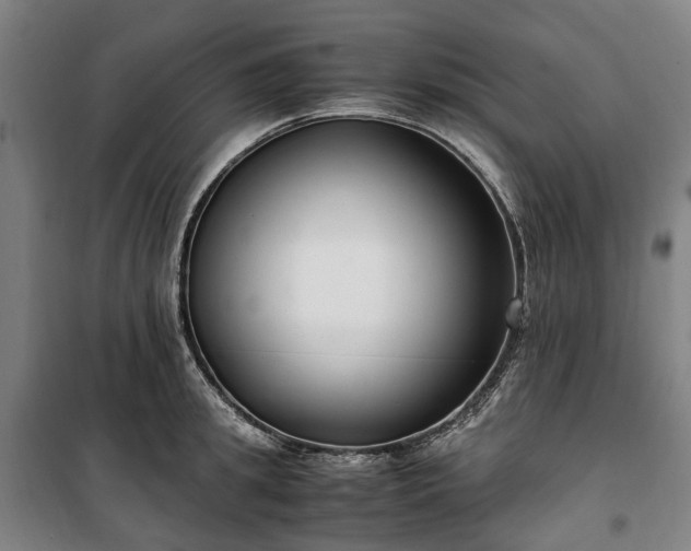 X0000100340949200806121147