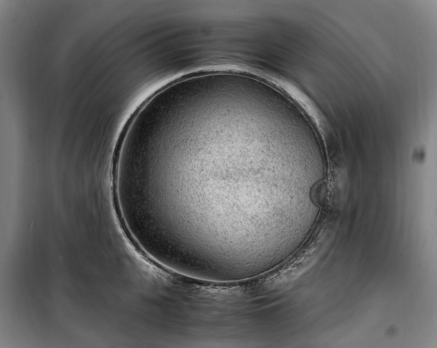 X0000100340951200806121147