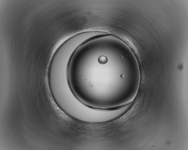 X0000100340952200806121147