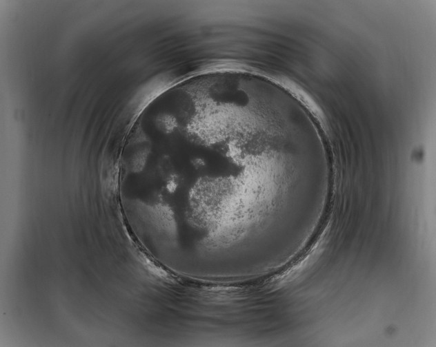 X0000100340953200806121147