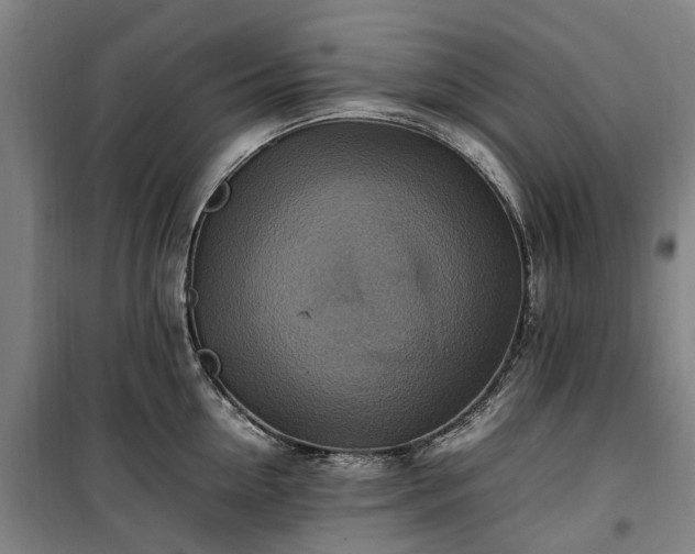 X0000100340954200806121147