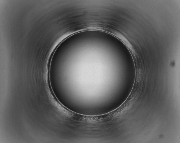 X0000100340955200806121147