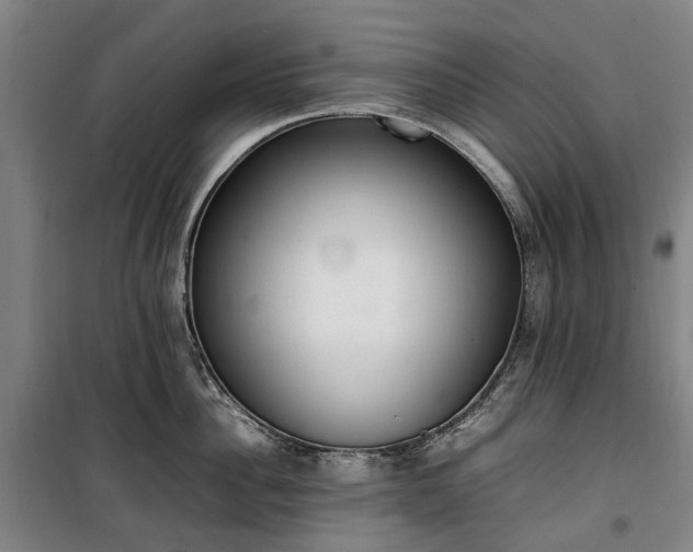 X0000100340956200806121147