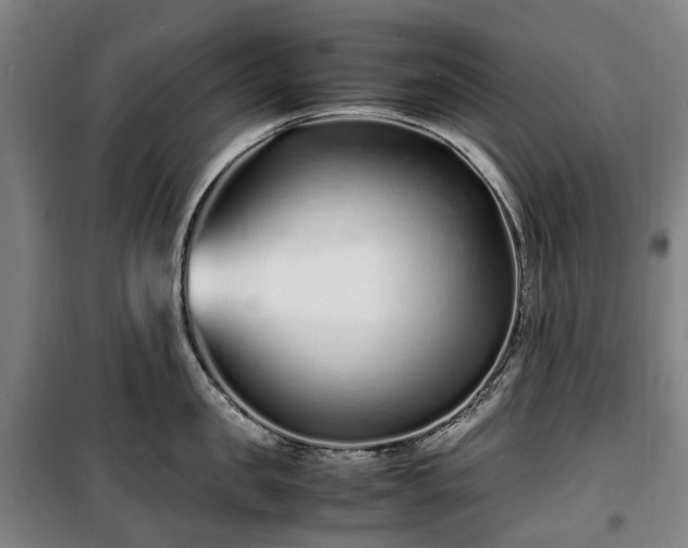 X0000100340957200806121147